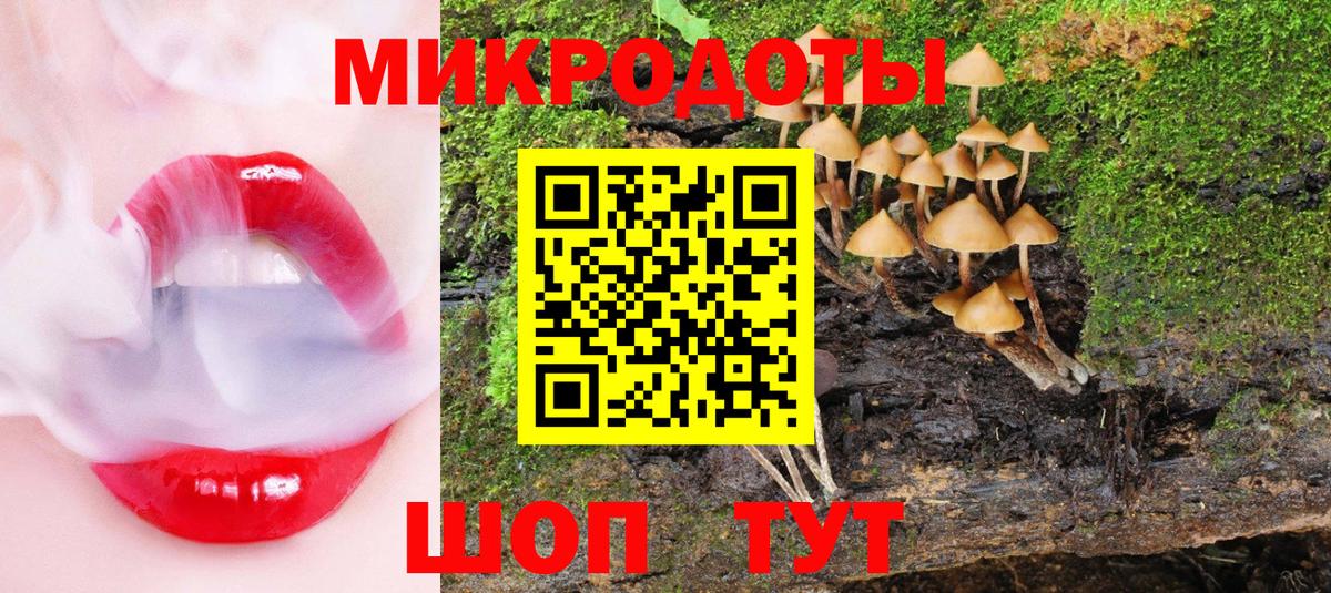 Севастополь  Псилоцибиновые грибы Psilocybine cubensis  Вход с VPN 