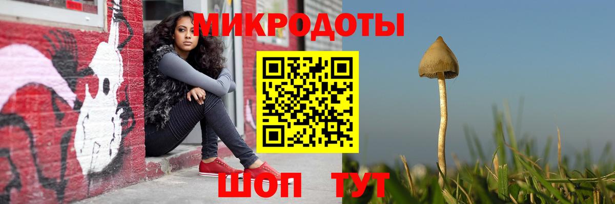 Псилоцибиновые грибы мухоморы Севастополь